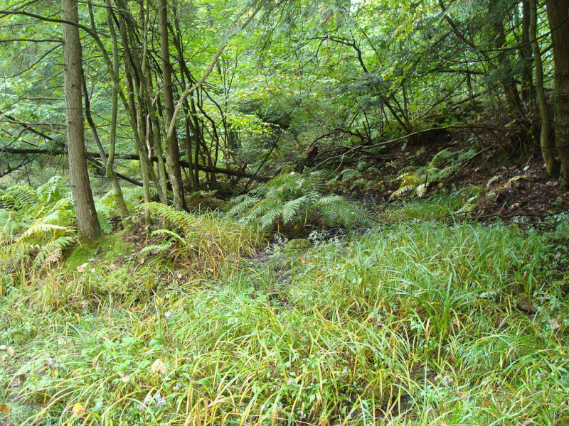 Hubbell Run
